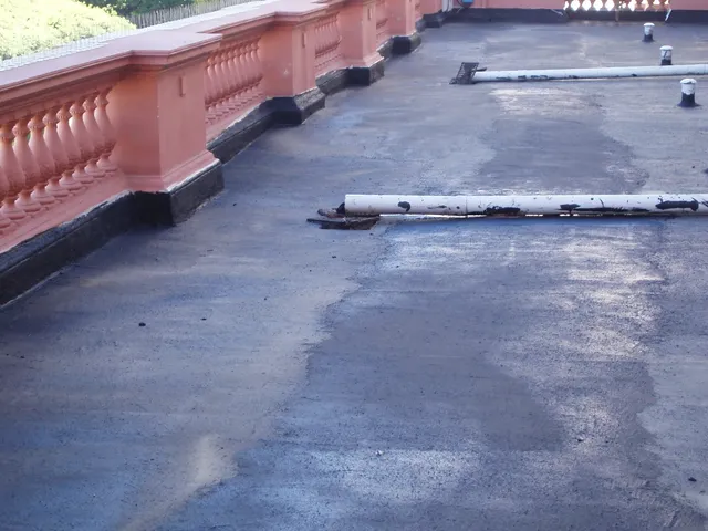 Casa Rosada · Foto 5